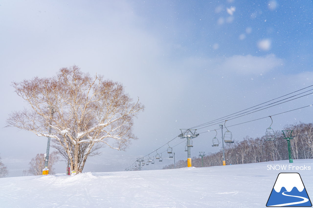 小樽天狗山スキー場｜積雪160cm！例年以上の積雪量でゲレンデはコンディションは最高です！ただいま『天狗山の雪あかり』も開催中(^_-)-☆